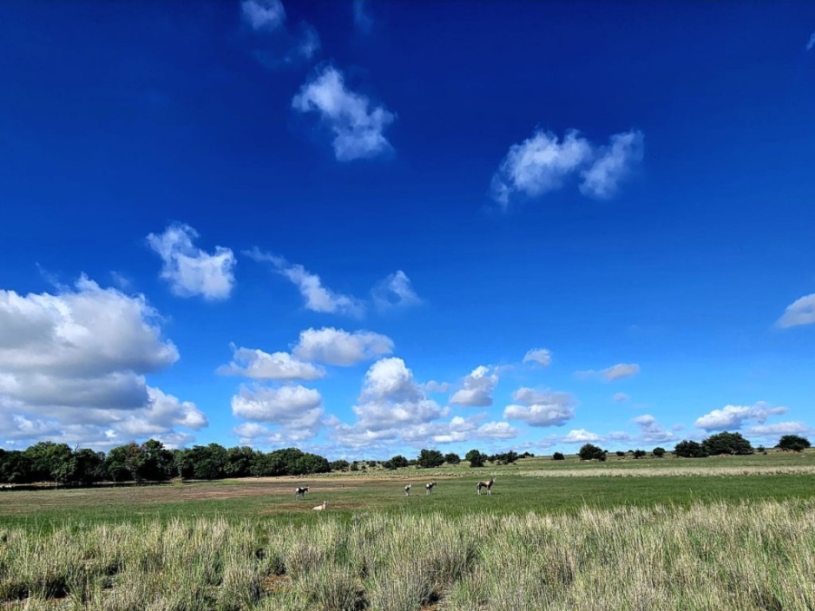 4 Bedroom Property for Sale in Bloemfontein Rural Free State